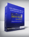 The Emergence Process Advanced Practicum with Patricia Ellsberg