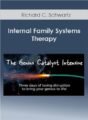 The Genius Catalyst Program – Michael Neill