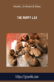 The Puppy Lab  –  Nando, Jo – Rosie & Dean