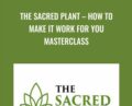 The Sacred Plant -How To Make It Work For You Masterclass – John Malanca