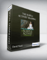 The Subtle Activist Training With David Nicol