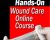 The Ultimate Hands-On Wound Care Online Course – Heidi Huddleston Cross, Kim Saunders and M. Dolores Farrer