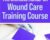 The Ultimate Hands-On Wound Care Training Course – Kim Saunders and Others