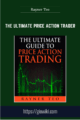 The Ultimate Price Action Trader – Rayner Teo