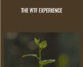 The WTF Experience – Amir Zoghi