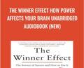 The Winner Effect How Power Affects Your Brain Unabridged AUDIOBOOK (NEW) – Ian Robertson
