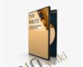 The Write Stuff – Alan Weiss