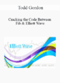 Todd Gordon – Cracking the Code Between Fib & Elliott Wave 2021