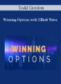 Todd Gordon – Winning Options with Elliott Wave 2021