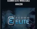 Ecomm Elite Wholesale Amazon – Todd Snively and Chris Keef
