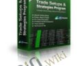 Trade Setups And Strategies Program – Mark
