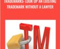 Trademarks: look up an existing trademark without a lawyer – Alex Genadinik