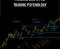 Trading Like a Pro-Trading Psychology – Tradimo