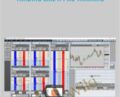 Trading Like a Pro Training – Tradimo
