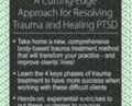 Trauma Therapy: A Cutting-Edge Approach for Resolving Trauma and Healing PTSD – Saj Razvi