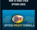 How to Trade Stock Options Course – Travis Wilkerson