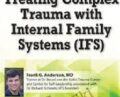 Treating Complex Trauma with Internal Family Systems (IFS): 2-Day Certificate Course – Frank G. Anderson