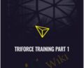 Triforce Training Part 1 – Matthew Owens