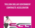 Trillion Dollar Government Contracts Accelerator – Karwanna