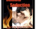 Remote Seduction – Wendi Friesen