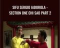 Sifu Sergio Iadorola-Section One Chi Sao Part 2 – Wing Tjun