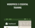 WordPress 5 Essential Training – Morten Rand-Hendriksen