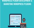 WordPress plugin development and marketing WordPress plugins – Alex Genadinik