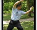Yin Style Bagua-Seizing and Grasping – He Jinbao
