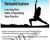Yoga for Therapeutic Rehabilitation: Learning New Tools and Expanding Your Practice – Betsy Shandalov