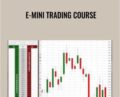 E-mini Trading Course – Zoran Kolundzic