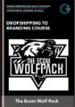Dropshipping To Branding Course   –  The Ecom Wolf Pack